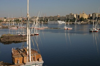 IMG_8717