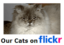 FFRC Photos & Videos