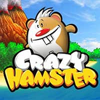 Crazy Hamster Mobile Game E71
