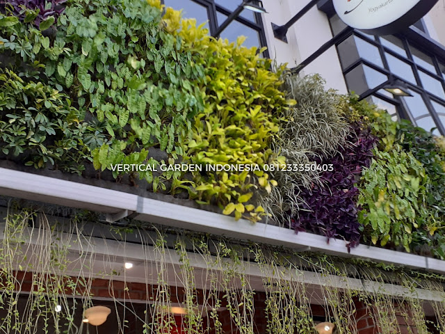 VERTICAL GARDEN INDONESIA SPESIALIS JASA PEMBUATAN VERTICAL GARDEN DI BSD DAN DI SELURUH WILAYAH BSD DENGAN TENAGA YANG PROFESIONAL DAN DAPAT DI PERCAYA YANG SELALU MENGUTAMAKAN SEBUAH MUTU DAN KUALITAS PEMASANGAN VERTICAL GARDEN/TAMAN DINDING, JASA TUKANG TAMAN VERTICAL BSD, JASA VERTICAL GARDEN BSD