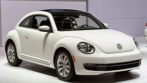 2013 VW Beetle Owners Manual