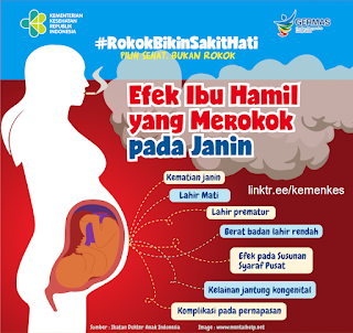 Efek Ibu Hamil yang merokok pada Janin