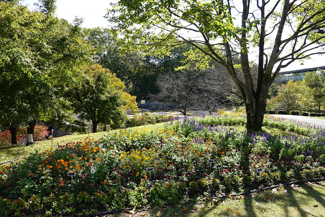 鳥取県西伯郡南部町鶴田　とっとり花回廊　エントランス展示