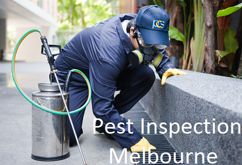 Melbourne Building Pest InspectionAssured For Property Quality