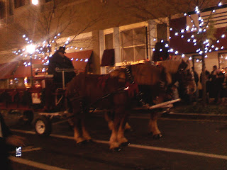 Draft horses pulling sleigh