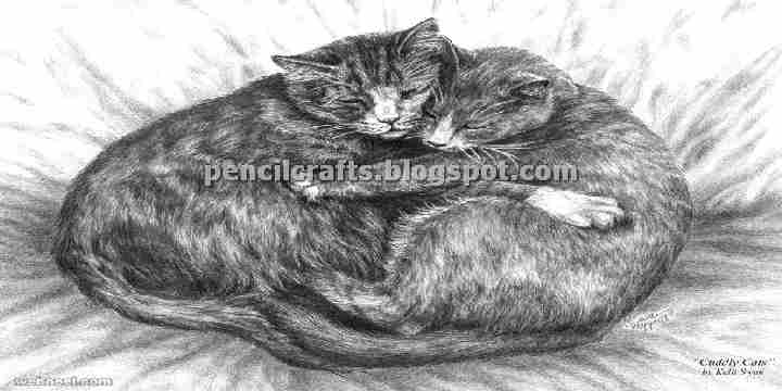 Cat Pencil Drawings Sketches and Ideas