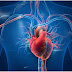 The duty of the Heart | Amazing things about Human Heart 