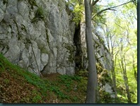 DSCN8382