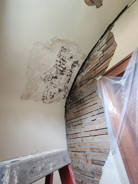 water damaged plaster removal
