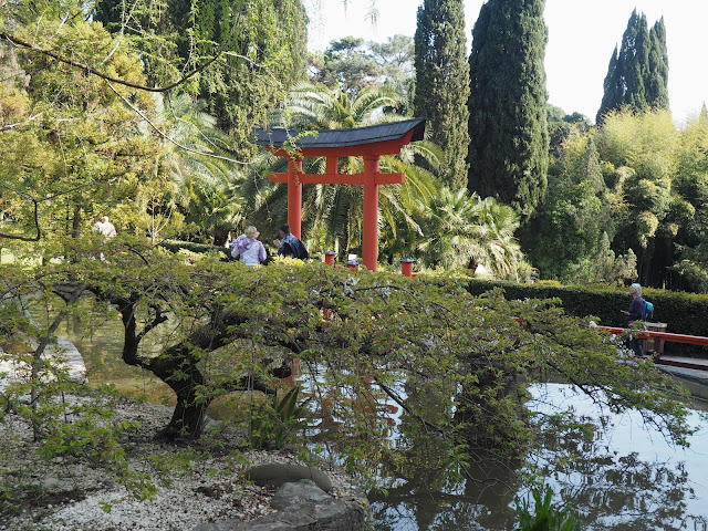 Сочинский дендрарий – японский сад.