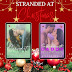 Release Blitz for the Stranded at Christmas Series Part One - An AB Shared World