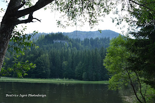 Der Suttensee