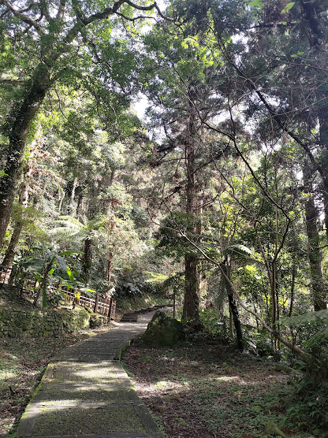 東眼山國家森林遊樂區 - 森林知性步道