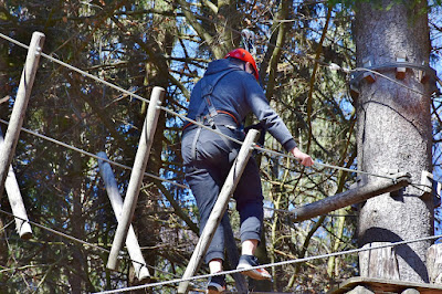 Treetop Adventure Park at Nashville Shores