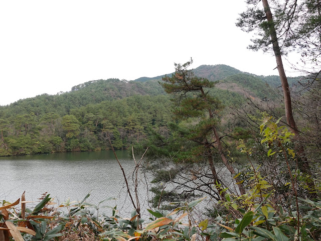 赤松池の脇道からの眺望　赤松池