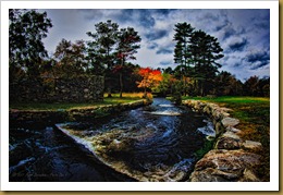 untitled Oliver Mills w Autumn Color D7K_6060 October 12, 2011 NIKON D7000