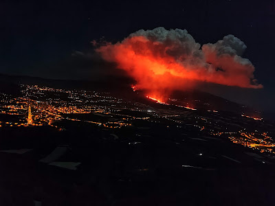 Forschungen am Vulkan auf La Palma zeigen die Auswirkungen auf die Pflanzenwelt