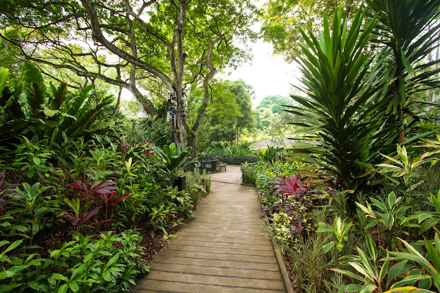 Botanic gardens-Singapore