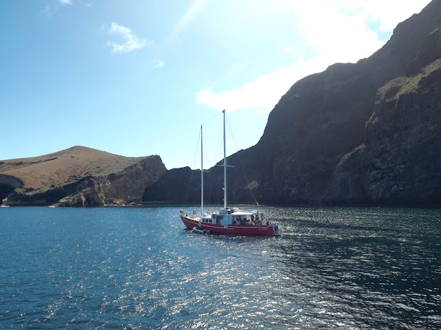 Punta Vicente Roca, Isla Isabela, Islas Galápagos