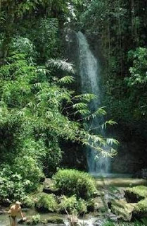 akcayatour&travel, Travel Malang Banyuwangi, Travel Banyuwangi Malang