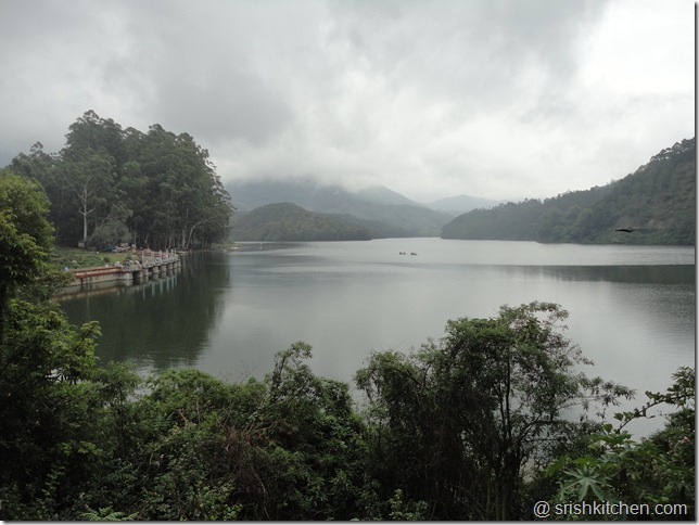 munnar tour 140