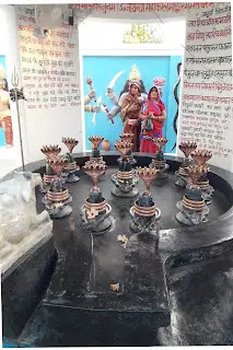 Panchleshwar mandir, Banshi Dongri Birsinghpur, Pali
