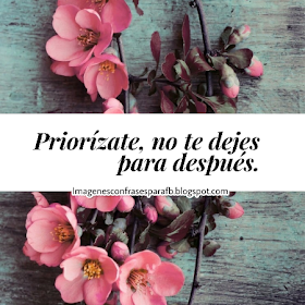 Frases para tu pinterest 