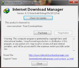 Internet Download Manager 6.12 Beta Build 9 incl Patch