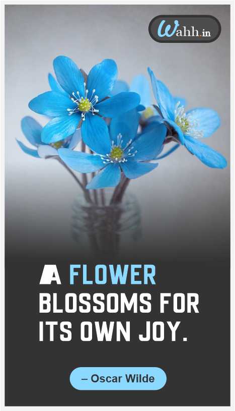 Inspirational Flower Quotes In English