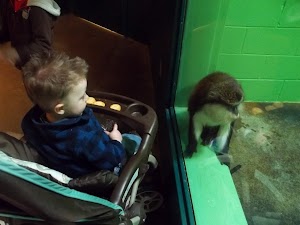 Zoo visit and bloody nose