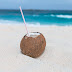 The most important benefits in coconut water