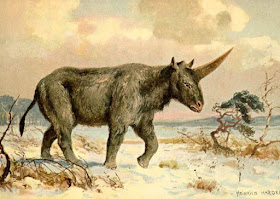 A long-extinct animal known as the Siberian unicorn - which was actually a long-horned rhinoceros - may have walked the Earth 29,000 years ago, at the same time as prehistoric humans, researchers say.
