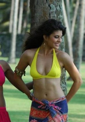 Jacqueline Fernandez Bikini