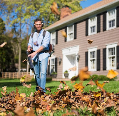 Lawn Leaf Blowers