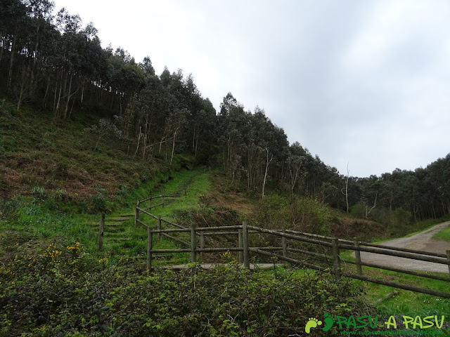 Bajada de escaleras por la Seda Costa Norte