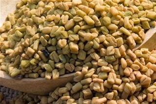 Biji fenugreek