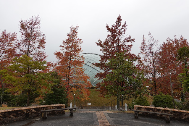 鳥取県西伯郡南部町鶴田　とっとり花回廊　紅葉