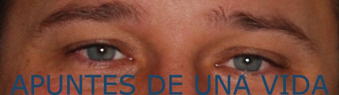 Apuntes de una vida