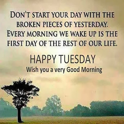 Happy good morning Tuesday Hd images and quotes downoad