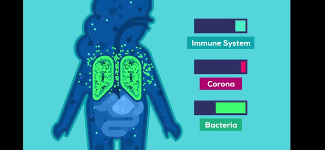 The Coronavirus Explained & What You Should Do  ( important article )