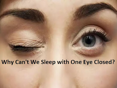 Why Can't We Sleep with One Eye Closed?