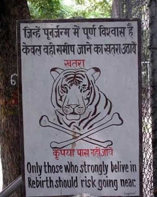 Tiger Warning Board