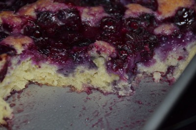 Blueberry Pudding Cake cut 400