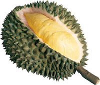 Manfaat Buah Durian Bagi Tubuh