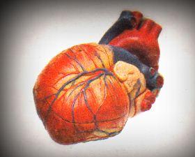 Penyakit Jantung Koroner dan Pemasangan Stent Medkes