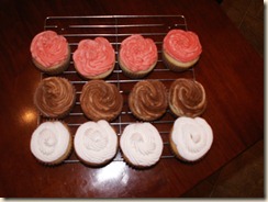 cupcake sampler (1)