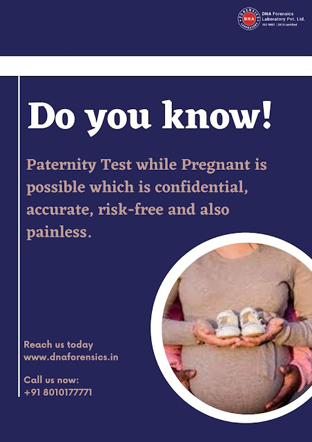 Paternity Test while Pregnant, non-Invasive Prenatal Paternity Test, Prenatal Paternity Test