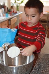 2010-04-20_005