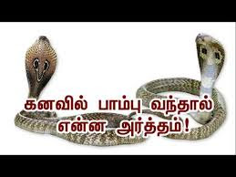 பல்லி , பாம்பு போன்ற ஊர்வன விலங்குகள் கனவில் வந்தால்(kanavil palli nalla pambu vanthal or lizard snake in dream in tamil)