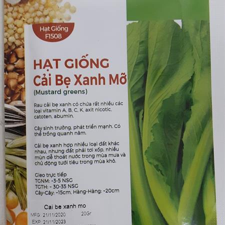 Hạt giống Cải bẹ xanh mỡ